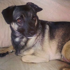 Meet your Posher, Gena